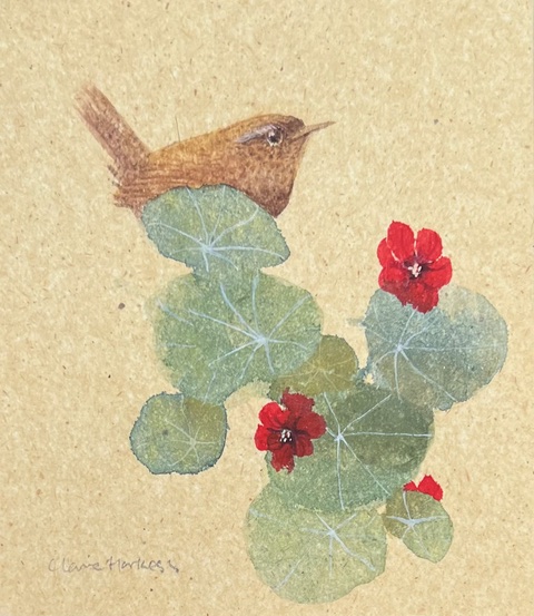 a small painting of a Wren sitting on a plant