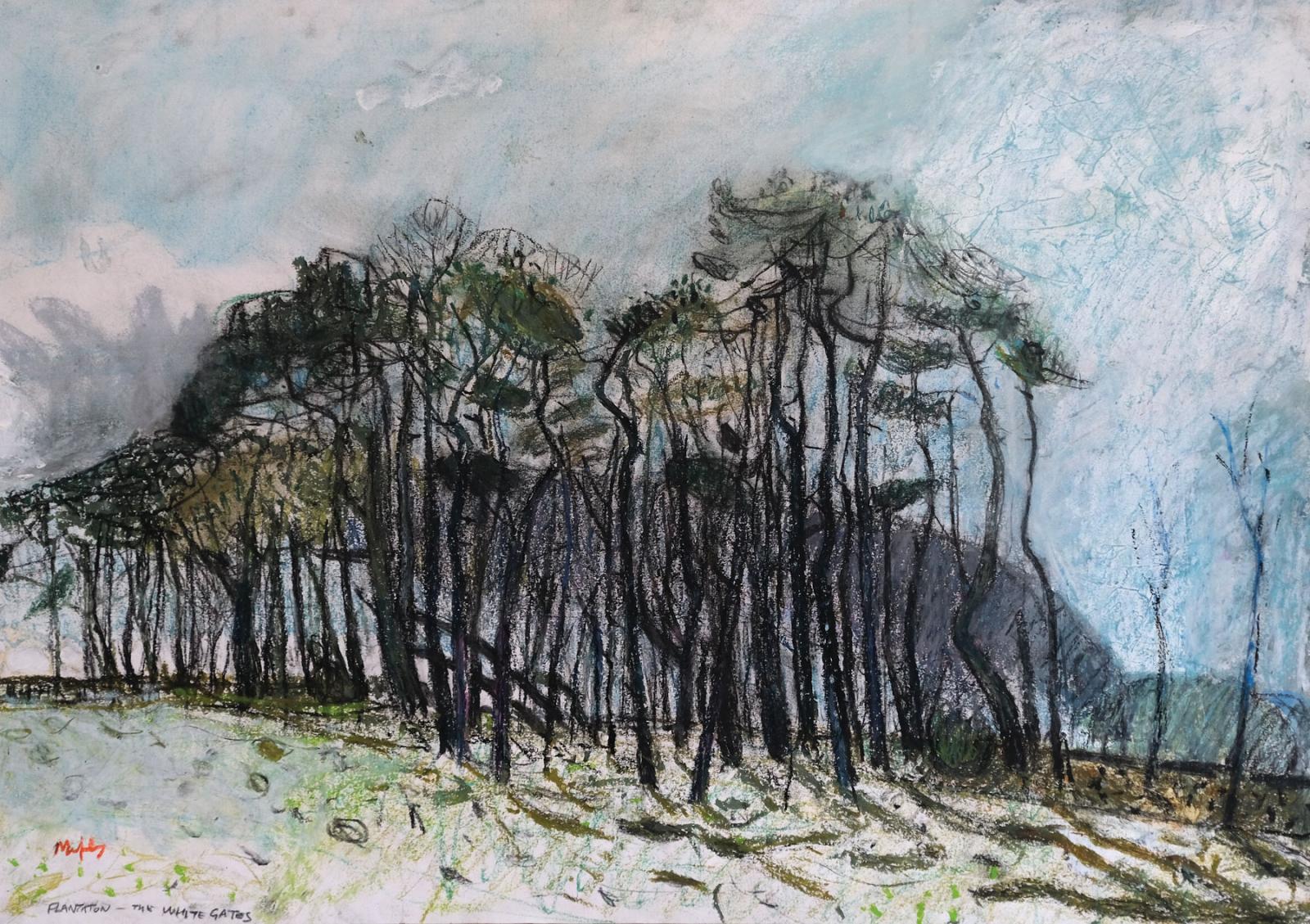 a drawing of trees against a grey sky.