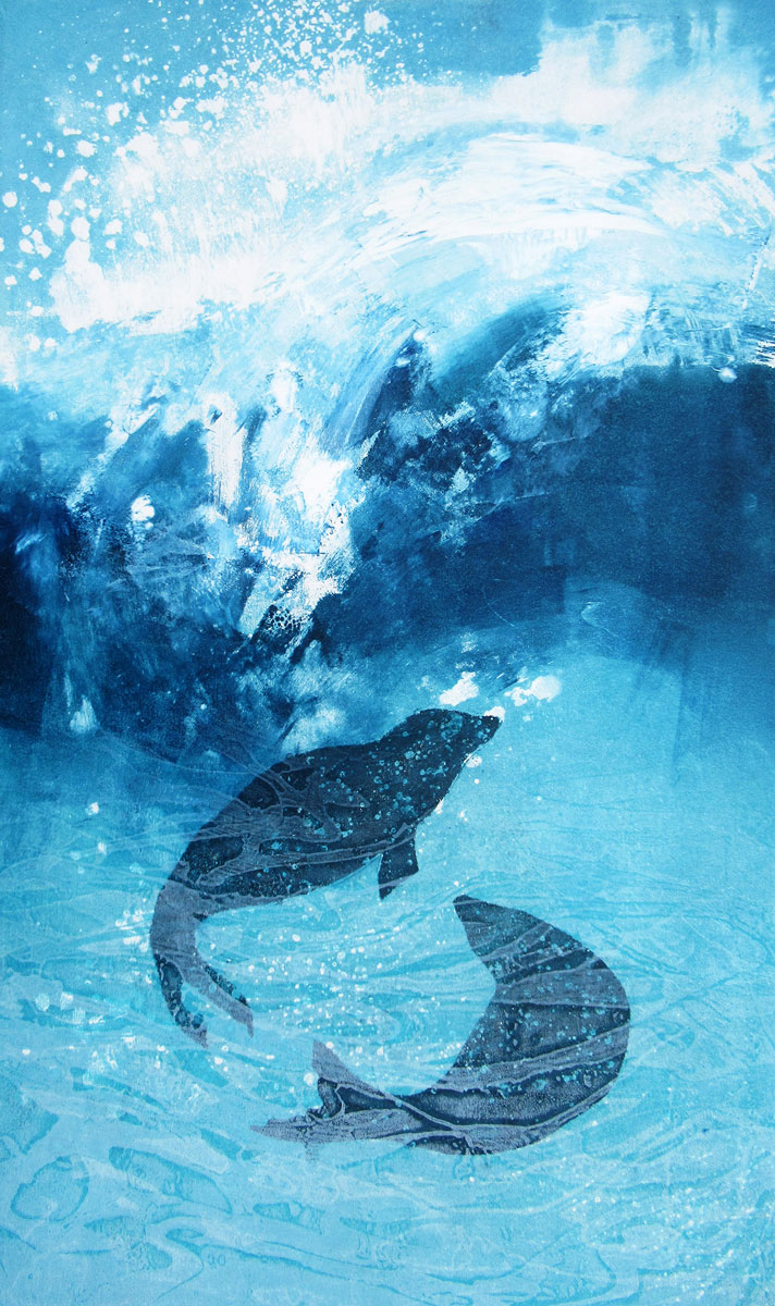 picture of two seals underwater