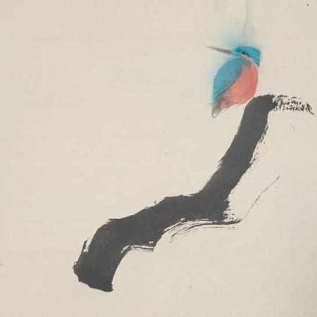 a kingfisher on a branch