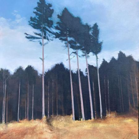 five trees in a clearing