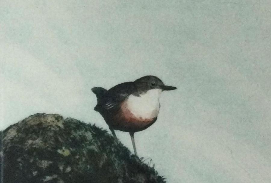 an etching of a small bird on a rock