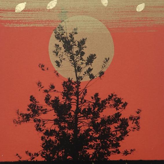 a screen print of the sun looking through a tree