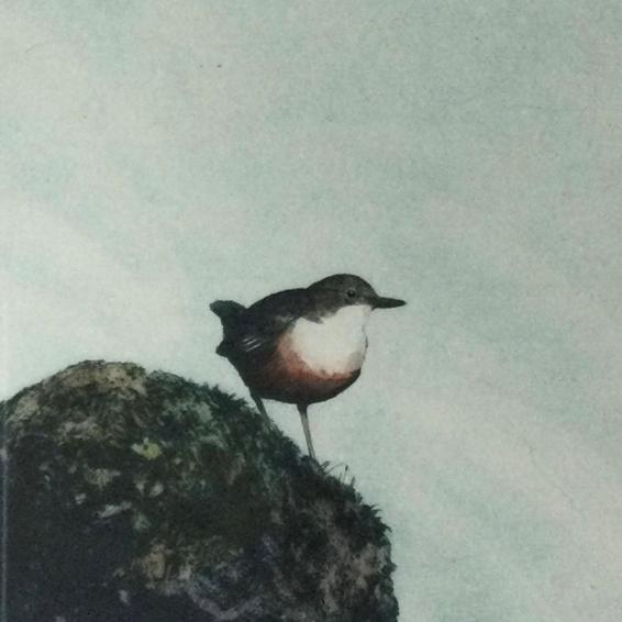 an etching of a small bird on a rock