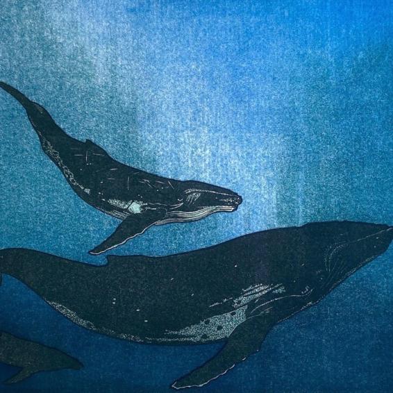a lino cut of whales underwater
