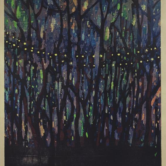 a dark print of trees with coloured lights shining through