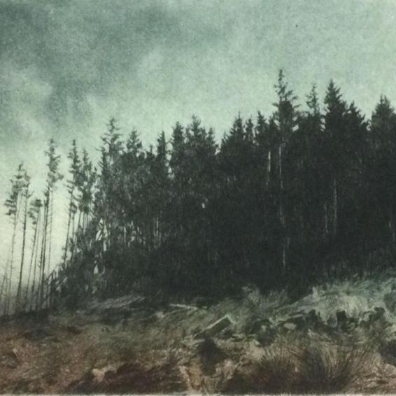 an etching of a line of trees against the sky