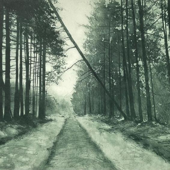 an etching of a path in a forest with a fallen tree