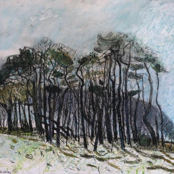 a drawing of trees against a grey sky.