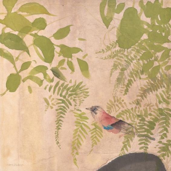 a what colour of a bird hiding amongst foliage.