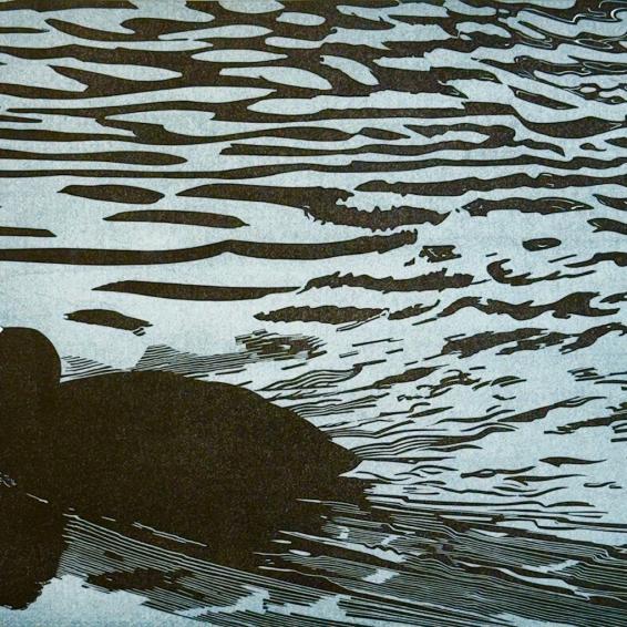 a linocut of a bird on water