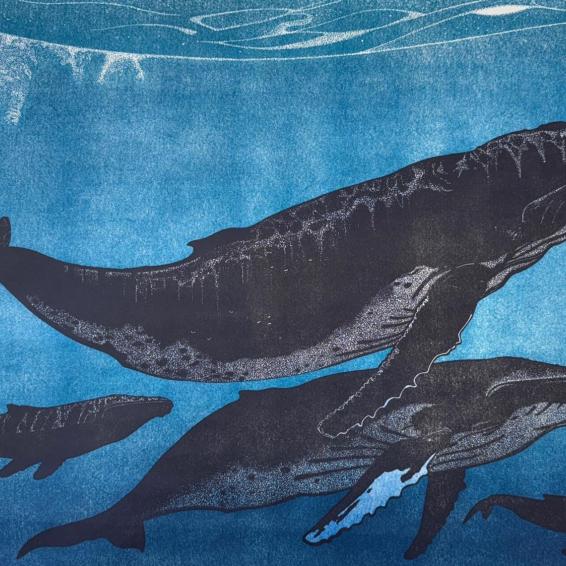 a lino cut of whales underwater