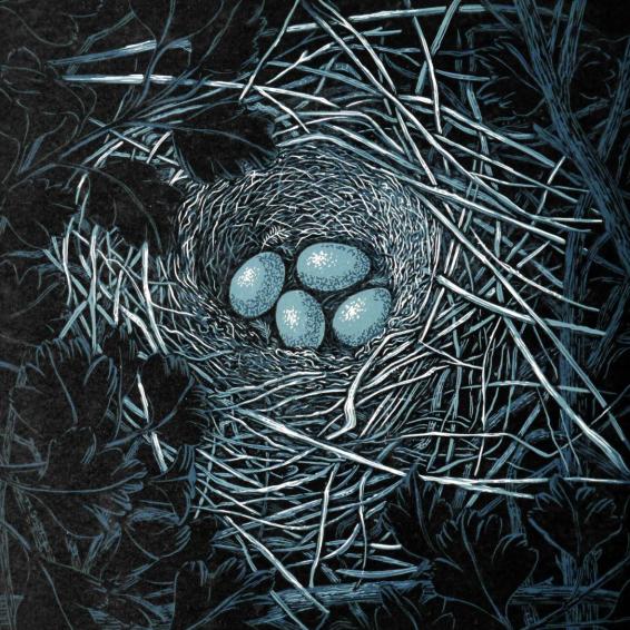 a lino print of eggs in a nest