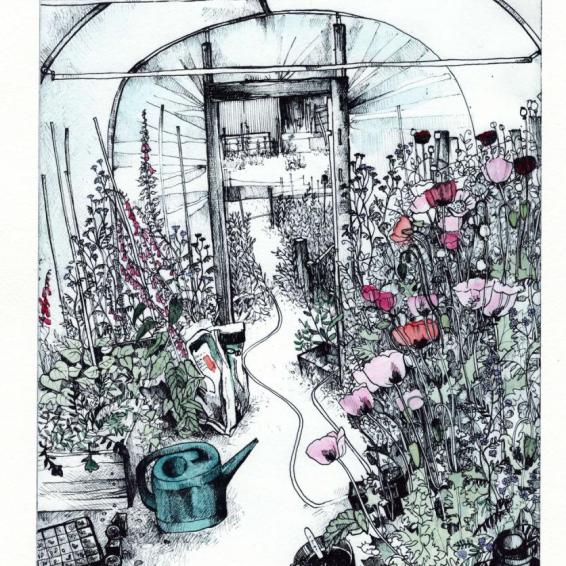a Polytunnel full of flowers